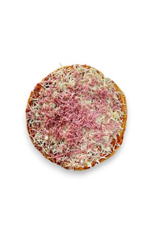 Pizza de Jamón y Queso